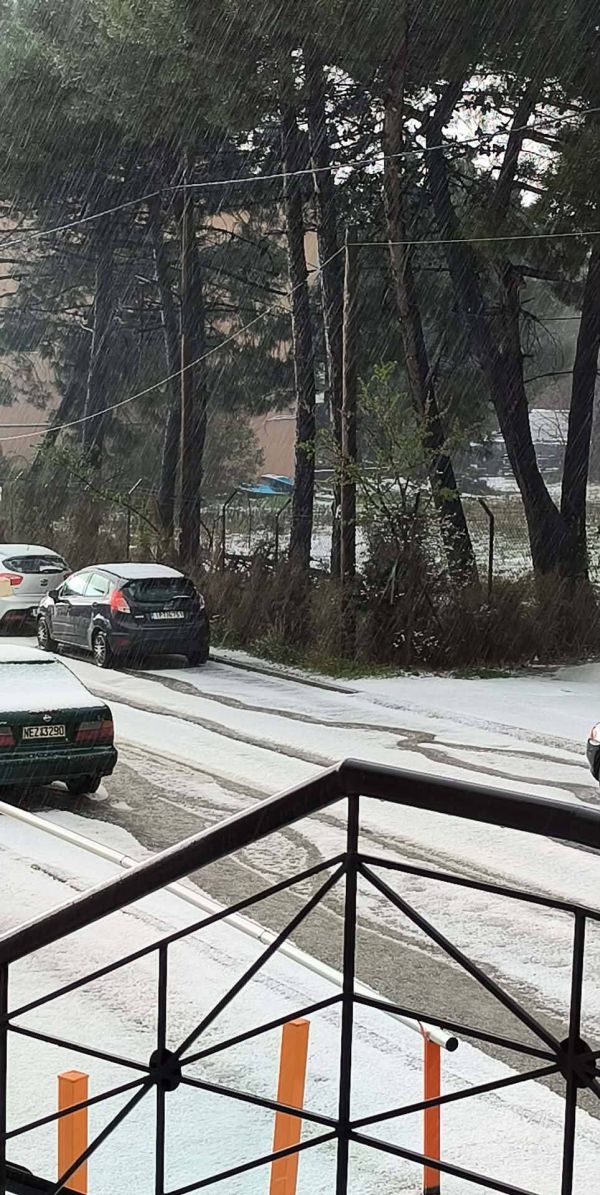 xalazi_poligiros2.jpg