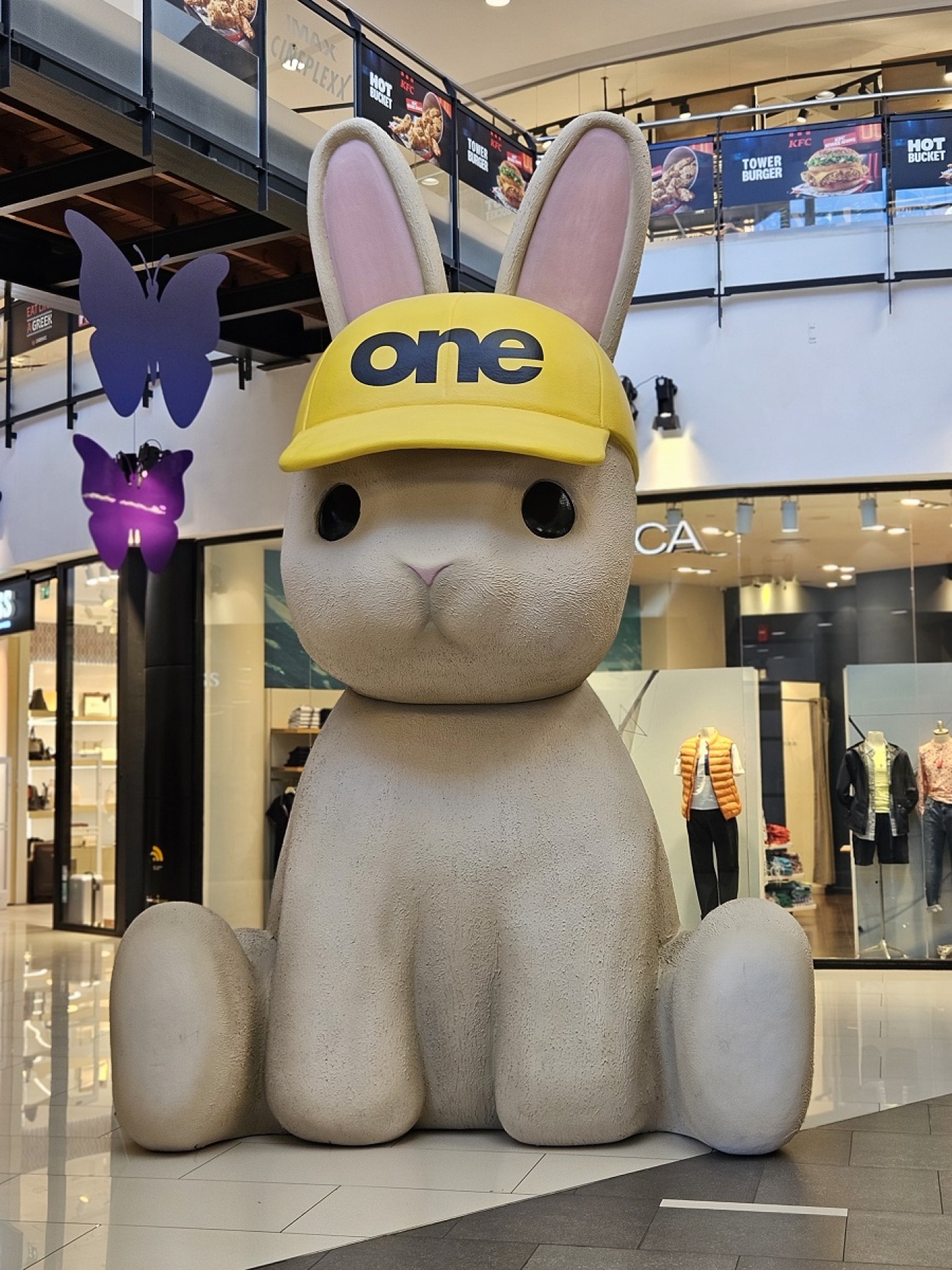 bunny.jpg