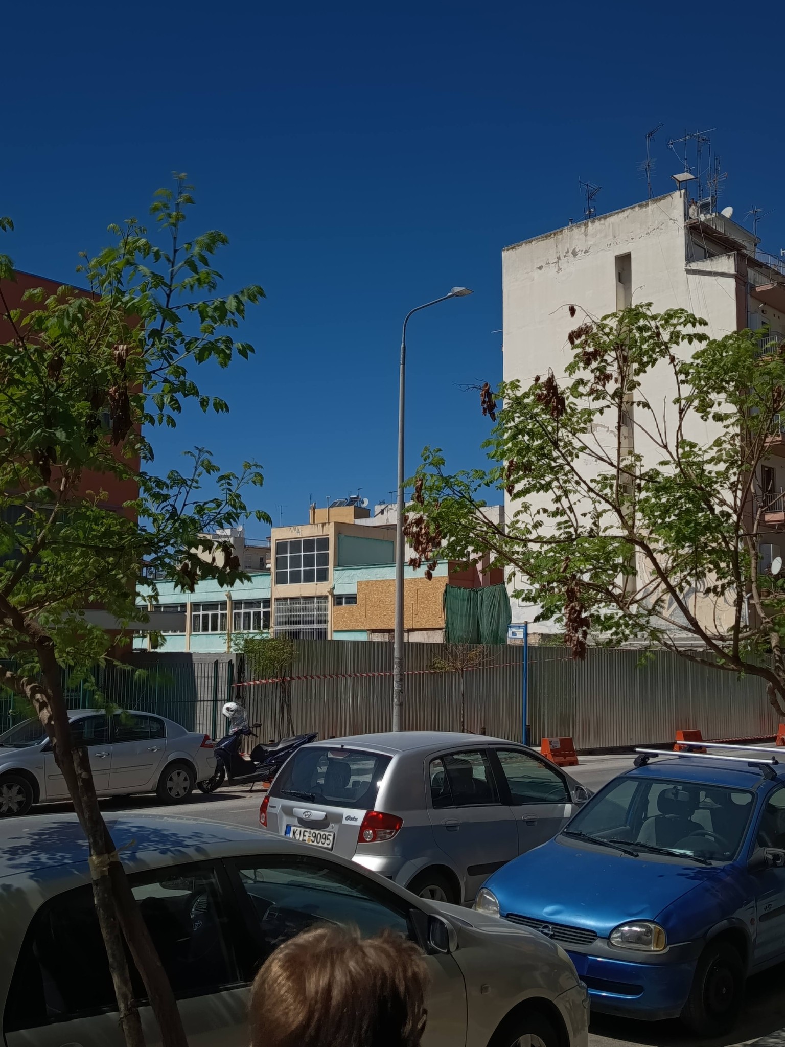 katedafisi-delfon3.jpg