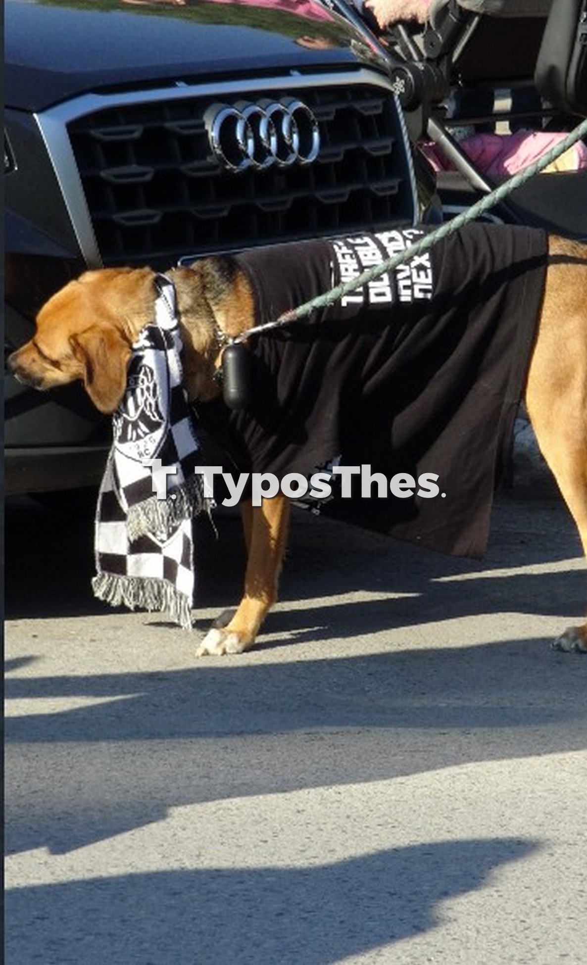 paok6.jpg