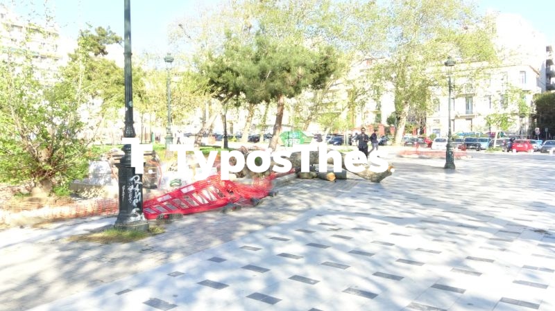 ptwsi_dentrwn_thessaloniki_5_5.jpg