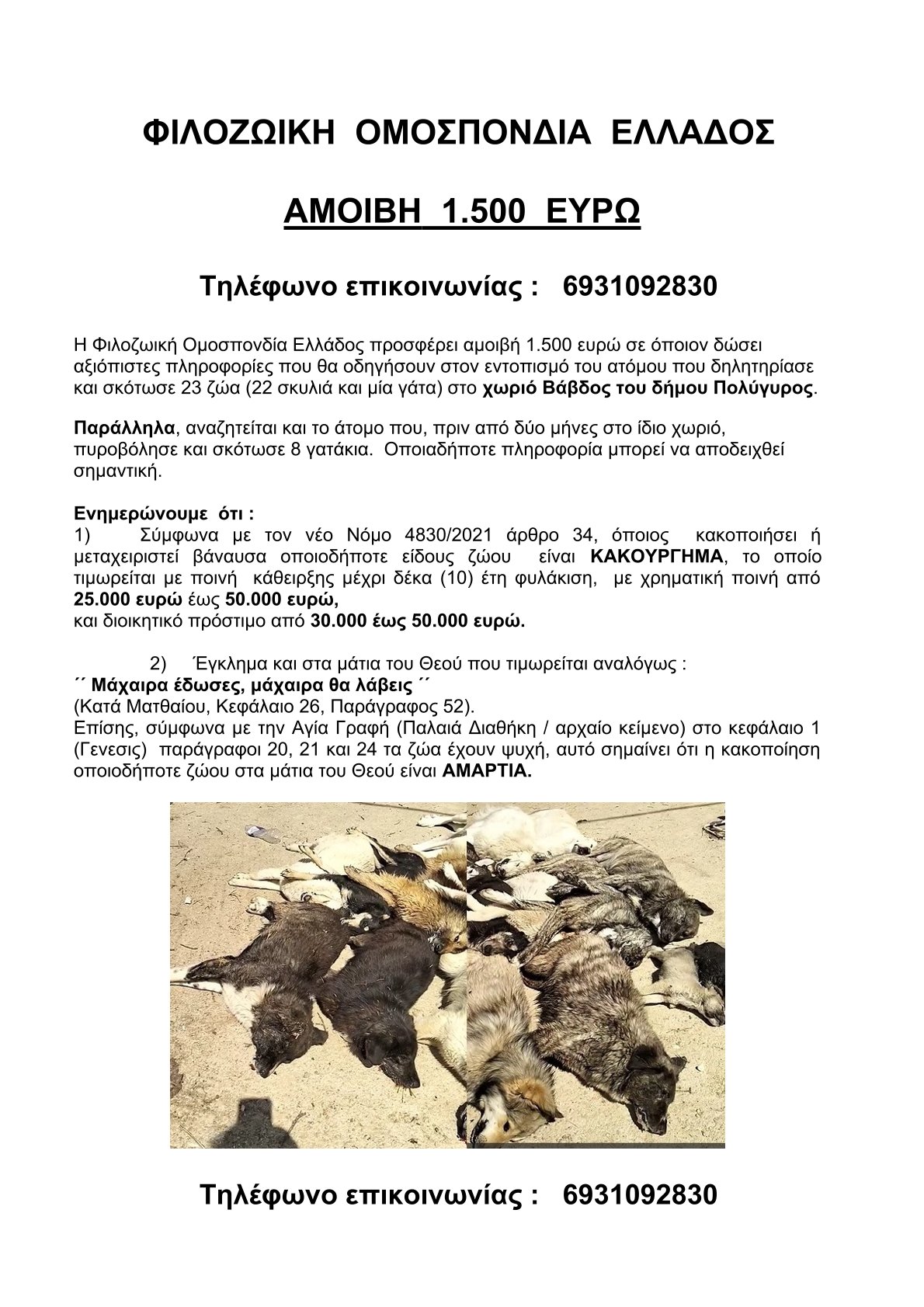 filozoiki_ellados.jpg