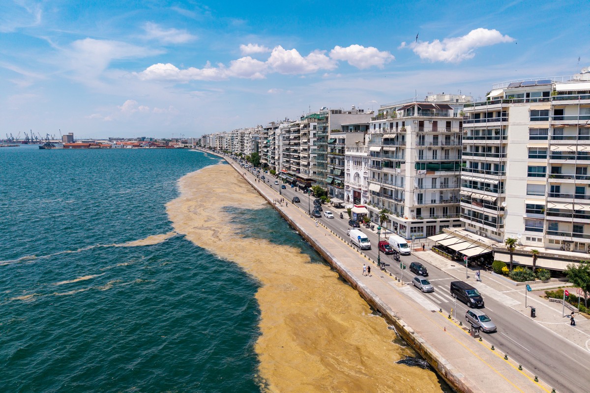 paralia-plagkton-thessaloniki-thermaikos_11.jpg