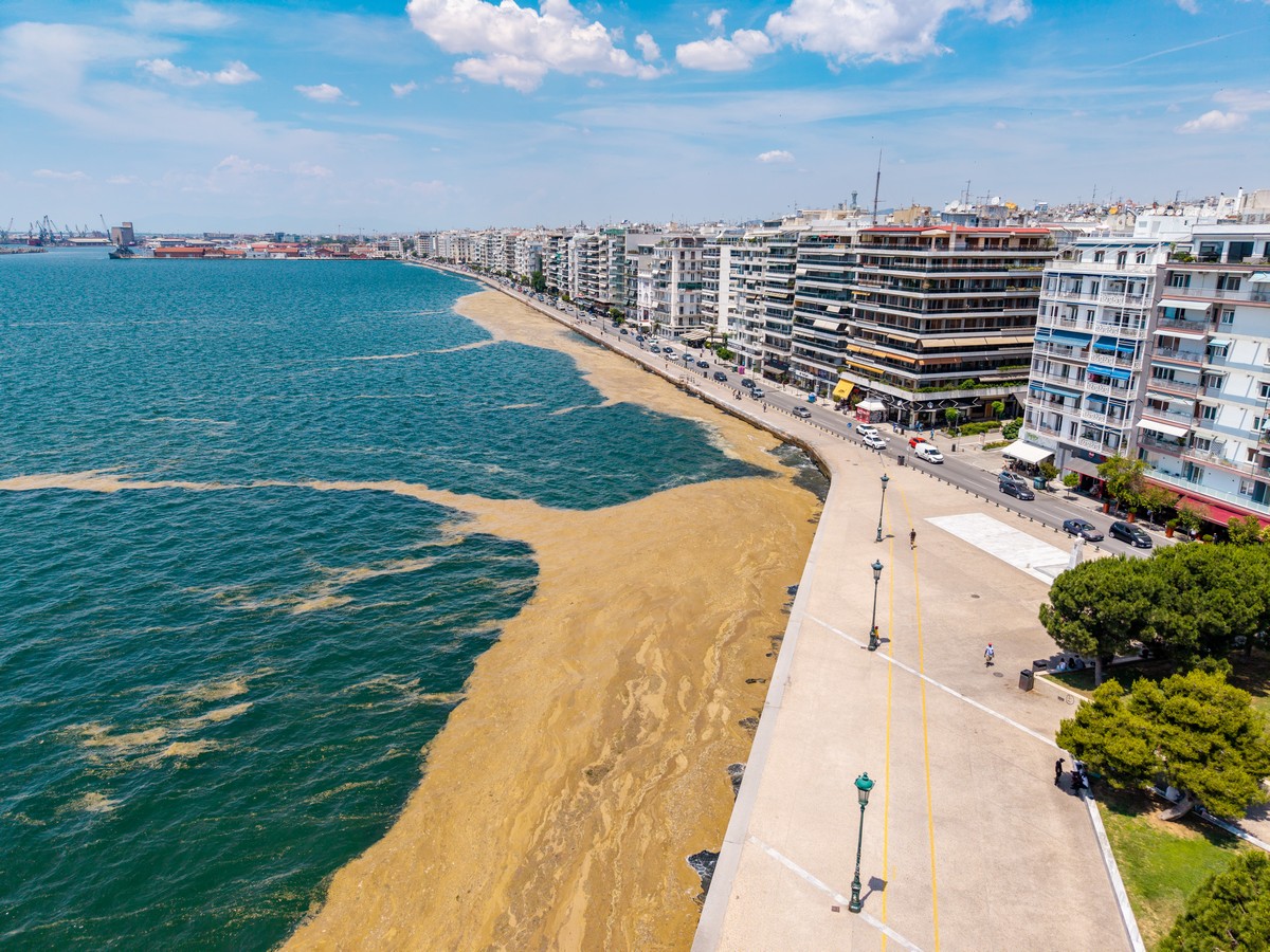 paralia-plagkton-thessaloniki-thermaikos_17.jpg