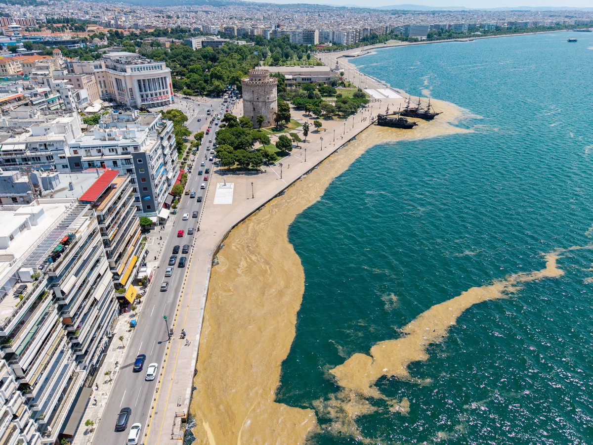 paralia-plagkton-thessaloniki-thermaikos_2.jpg