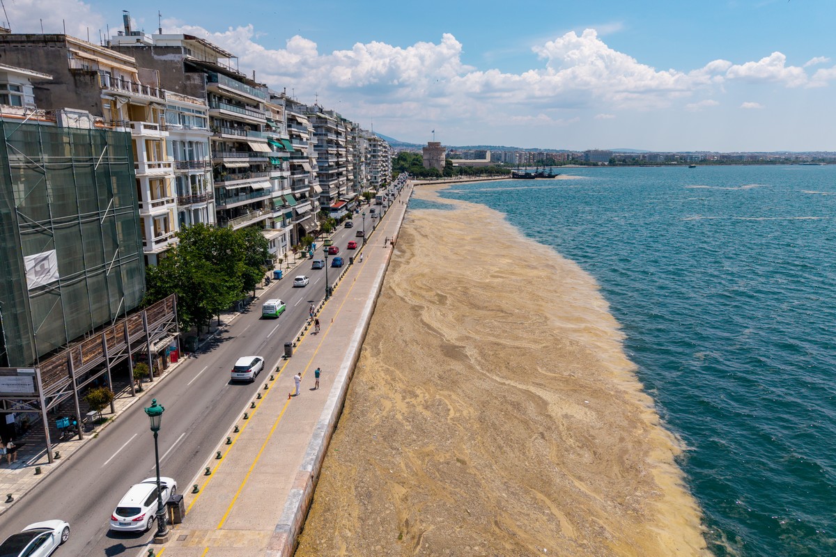 paralia-plagkton-thessaloniki-thermaikos_5.jpg