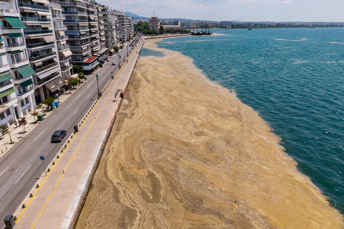 paralia-plagkton-thessaloniki-thermaikos_8.jpg