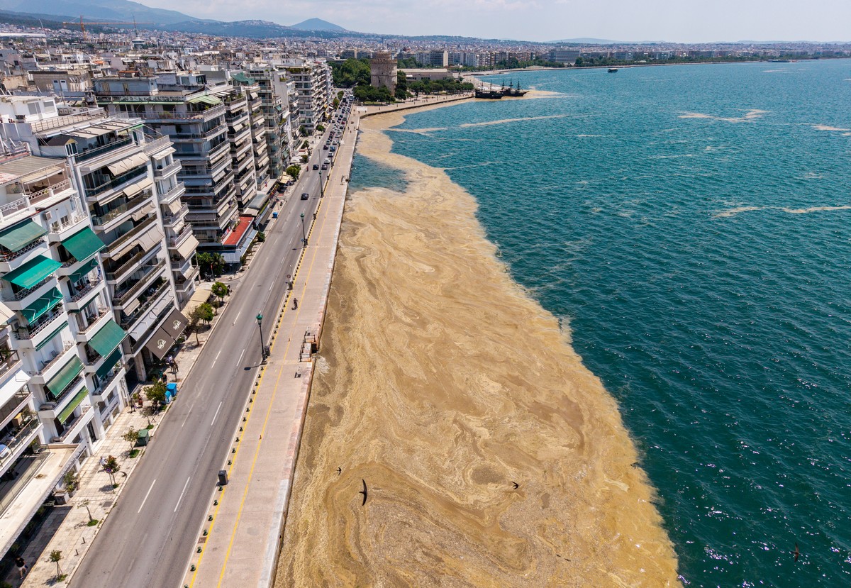 paralia-plagkton-thessaloniki-thermaikos_9.jpg