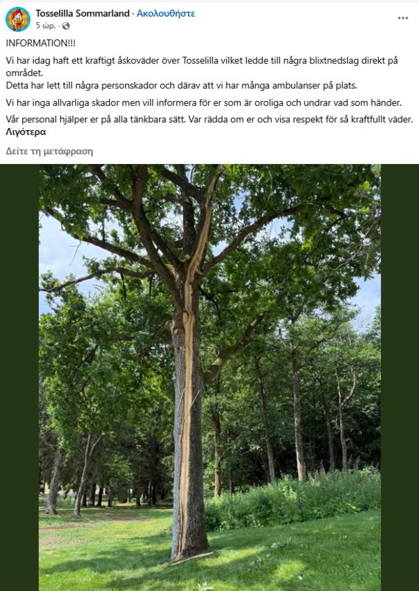 park_sweden.jpg