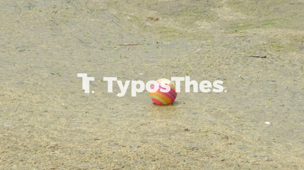 plagkton_thermaikos_4.jpg