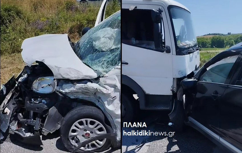 troxaio-plana_large.jpg