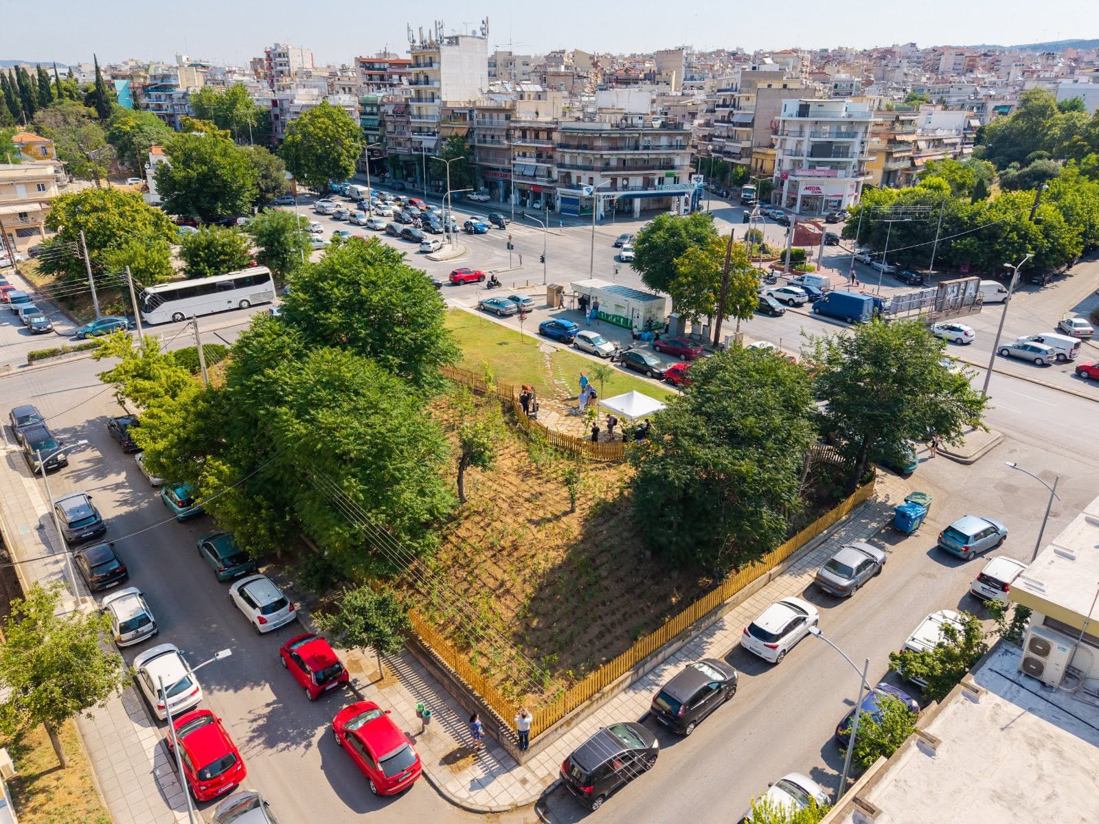 urban_micro_forest_3.jpg