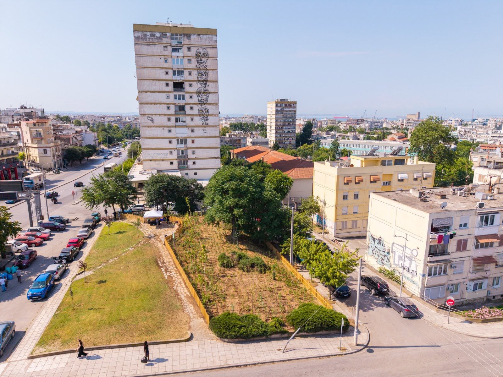 urban_micro_forest_4.jpg