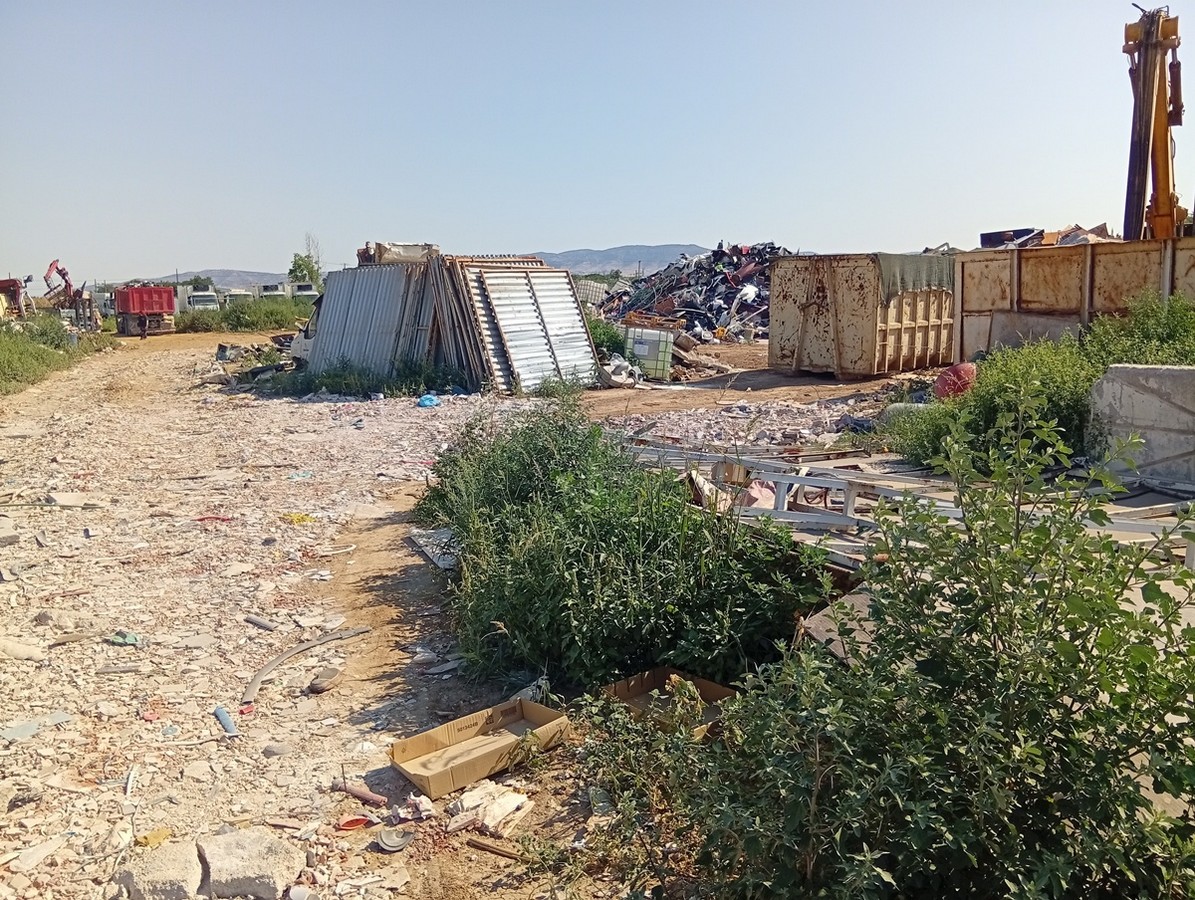 rypansi-kaloxwri_3.jpg