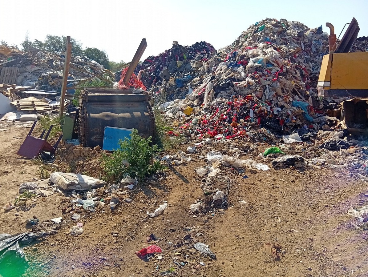 rypansi-kaloxwri_5.jpg