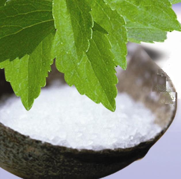 stevia-plant.jpg stevia-plant.jpg