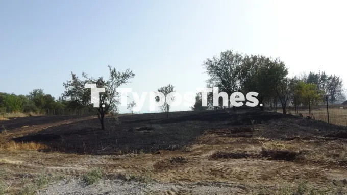 φωτιά στην Πυλαία Θεσσαλονίκης 