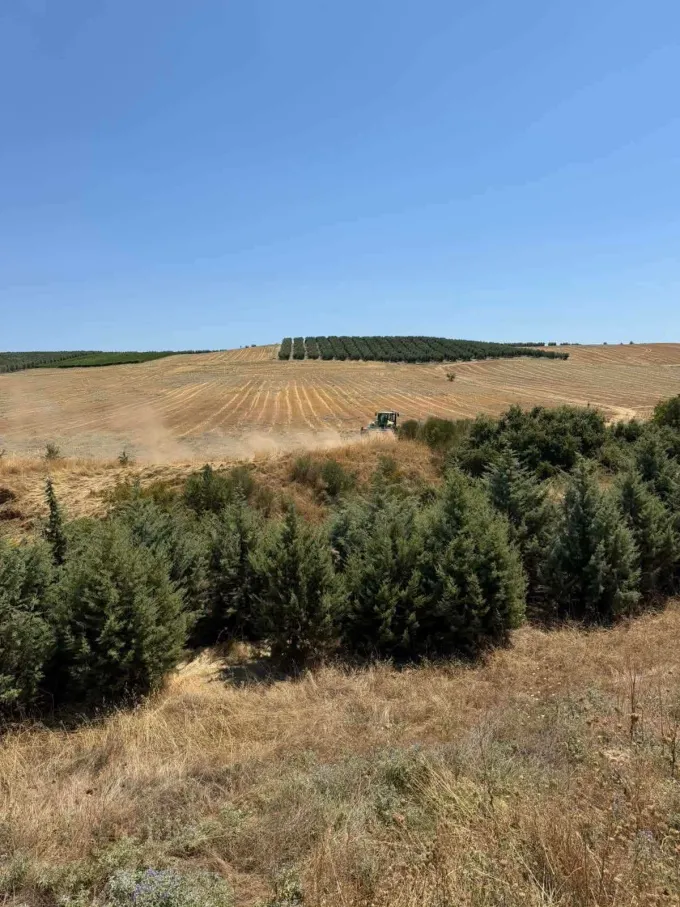 Fotia Xalkidiki