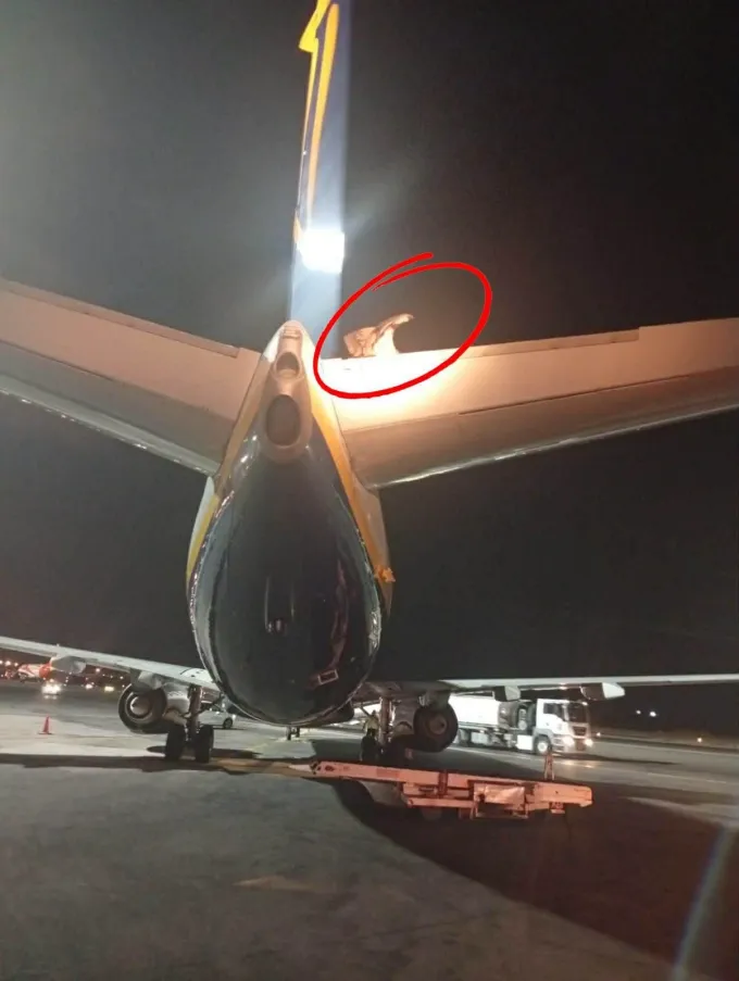 Gypas Aeroplano