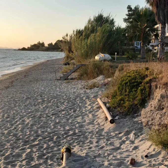 Xaplostres paralia