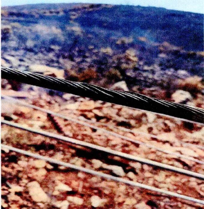 fotia voiwtia4