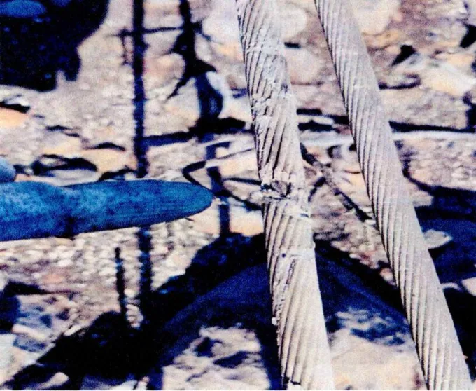 fotia voiwtia5