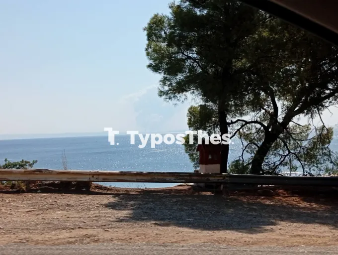 φωτιά Χαλκιδική
