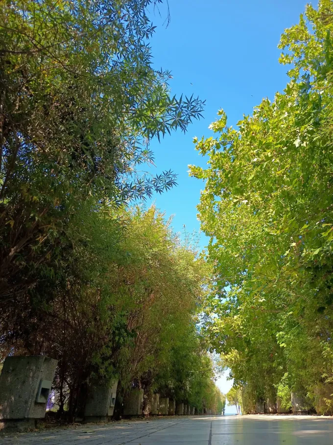 Κήπος εποχών