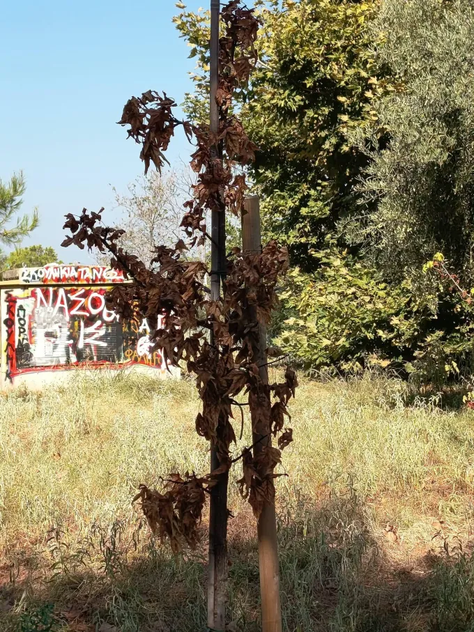 Κήπος εποχών