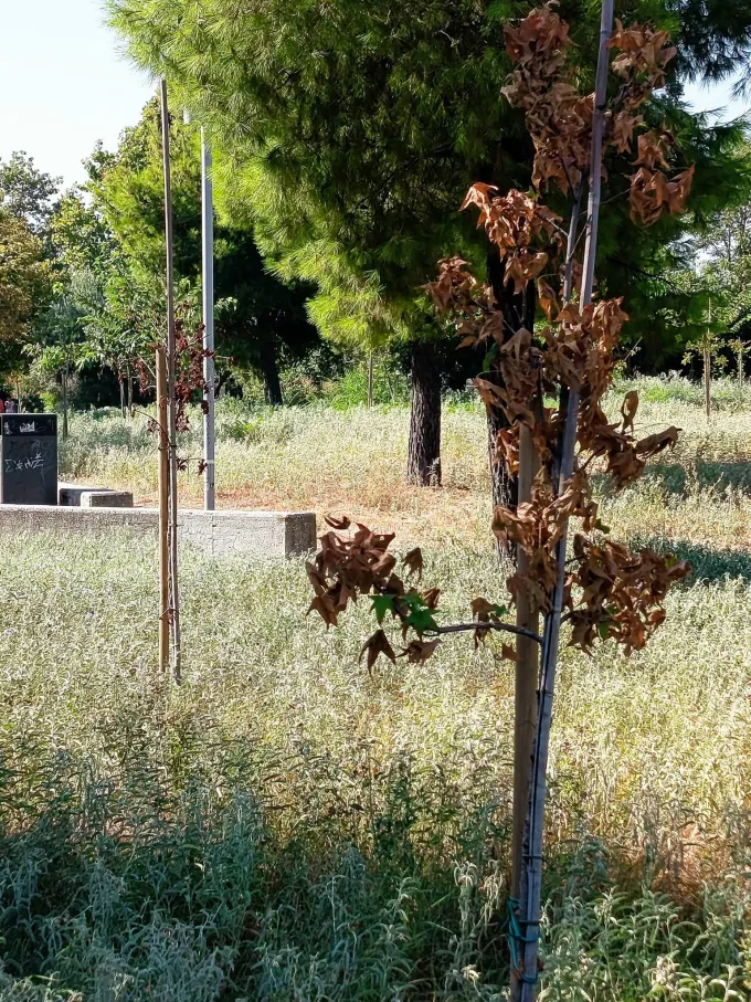 Κήπος εποχών