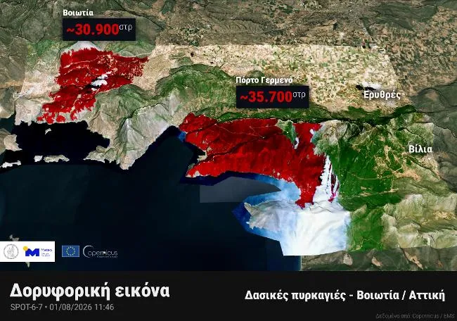 δορυφόρος φωτιες