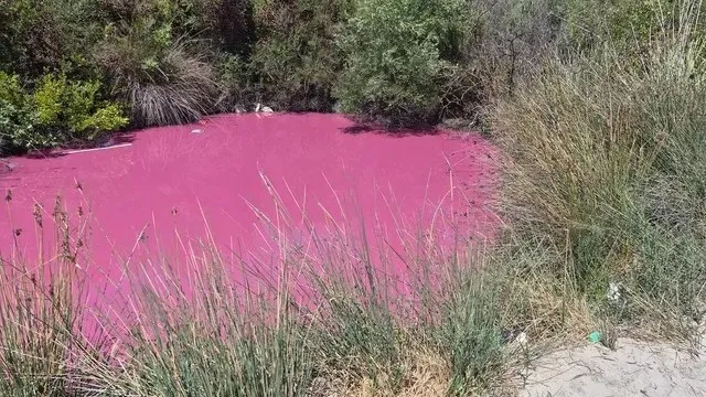 ροζ λίμνη