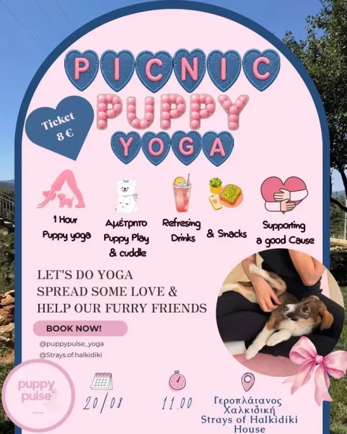 yoga puppy