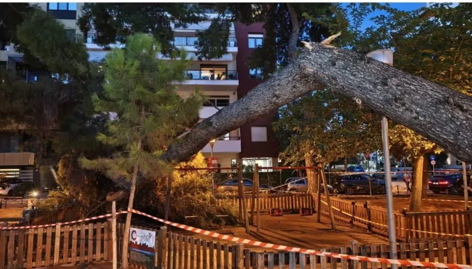 δέντρο