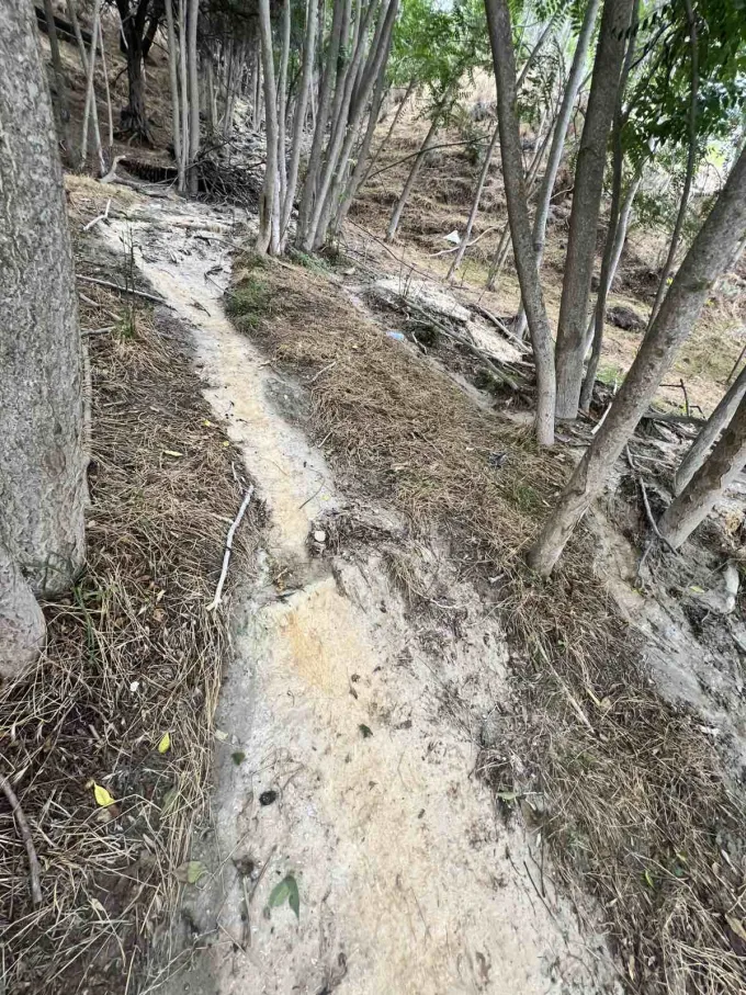 Κηφισός