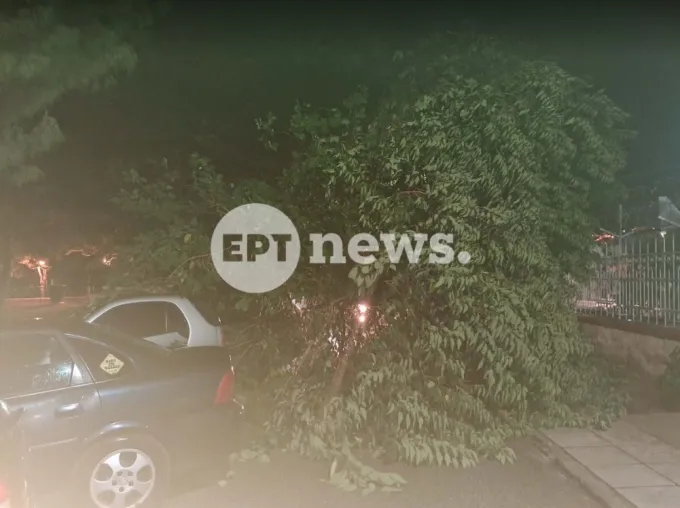 πτώσεις δεντρου