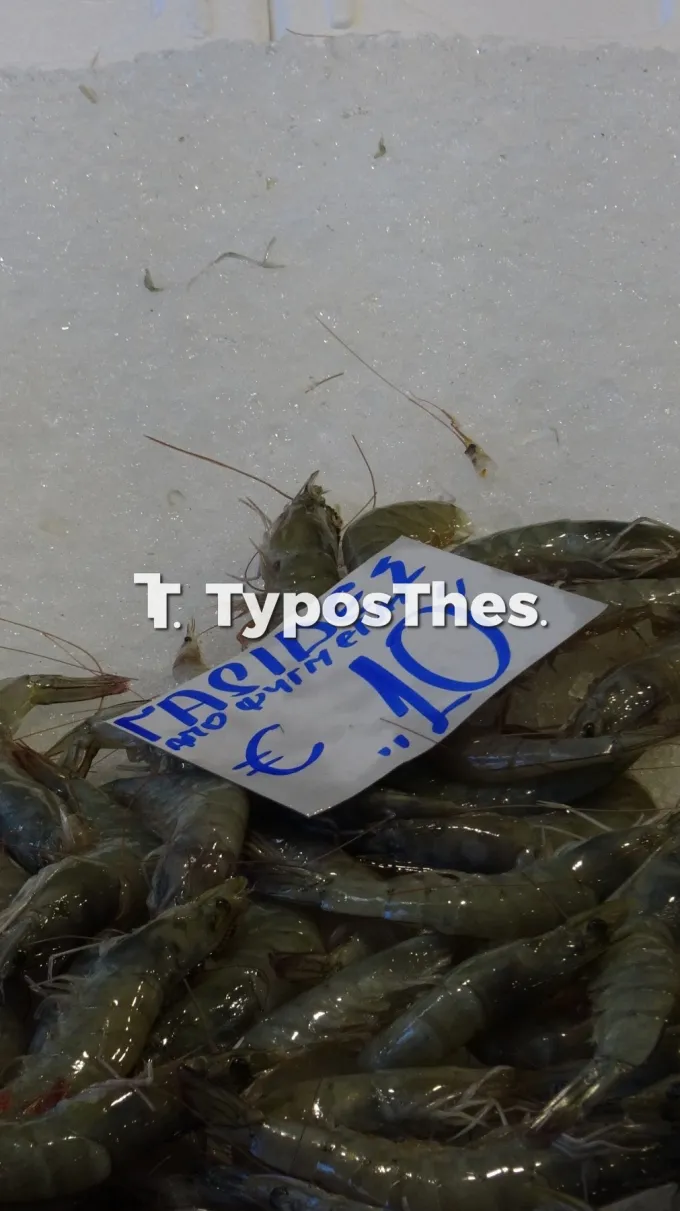 Ψάρια στο Καπάνι