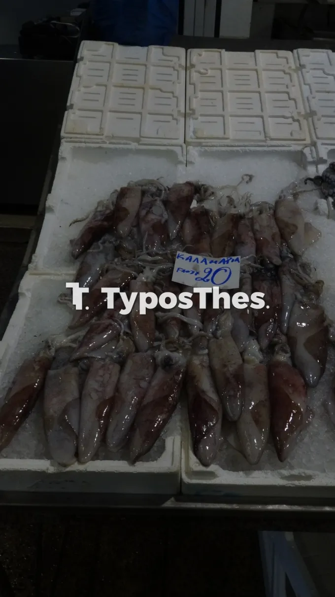 Ψάρια στο Καπάνι