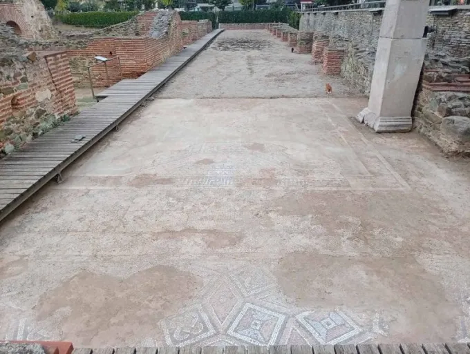 psifidwta galeriano sigkrotima