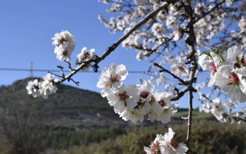 Αποτέλεσμα εικόνας για εαρινή ισημερία