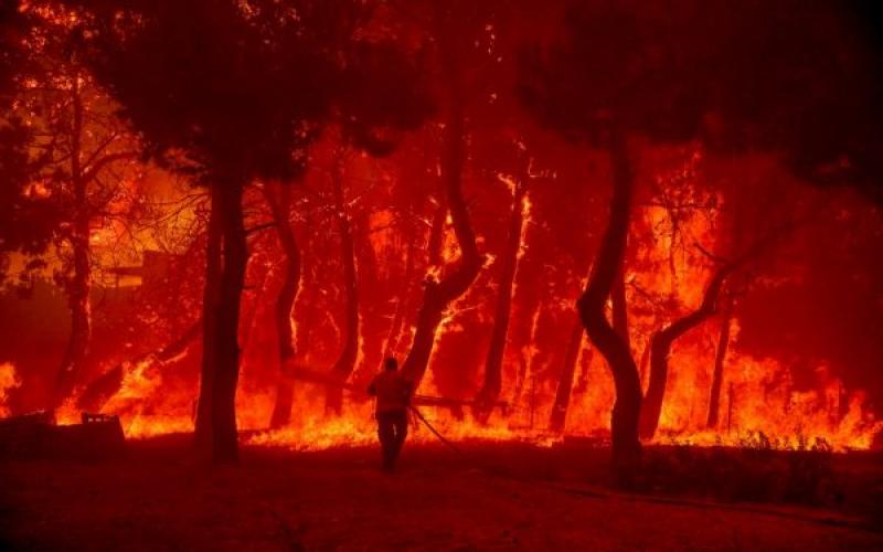 Εικόνες αποκάλυψης από τη φωτιά στη Λέσβο (ΦΩΤΟ) | Typosthes