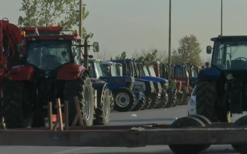 agrotes