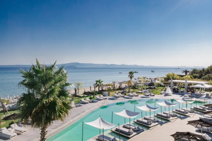 blue-carpet-suites