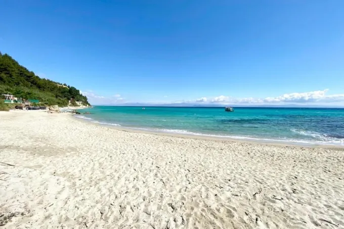 fotia-apo-halkidiki