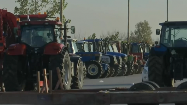agrotes