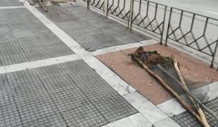dentra-tsimiski