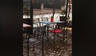 heimarros-kafe