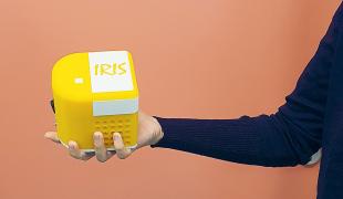 iris