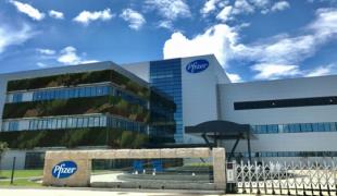 pfizer