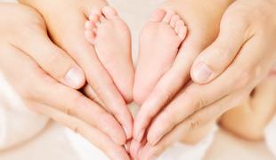 fertilia